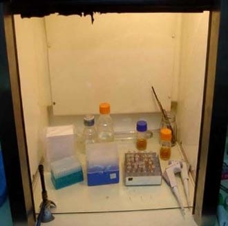 Evaluación comparativa de la efectividad antibiótica del Tylo – Combisone® (tilosina+gentamicina) y Proxifen® 23 L.A.(oxitetraciclina) contra cepas bacterianas causantes de enfermedad respiratoria en bovinos - Image 19