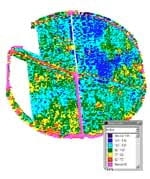 Fertilización y Densidad de Siembra Variable. - Image 1
