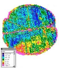 Fertilización y Densidad de Siembra Variable. - Image 2
