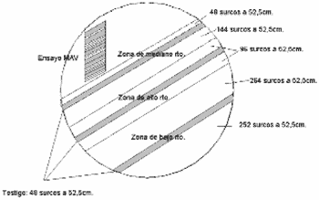 Fertilización y Densidad de Siembra Variable. - Image 6
