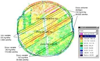 Fertilización y Densidad de Siembra Variable. - Image 7
