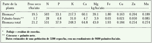 Nutrición y Fertilización del Pejibaye para Palmito - Image 1