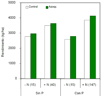 Rendimiento de Cultivo de Trigo en la Región Pampeana Inoculados con Azospirillum brasiliense - Image 2