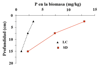 Dinámica y Manejo de Fósforo en Siembra Directa - Image 3
