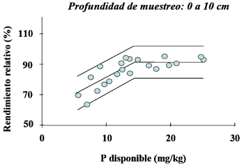 Dinámica y Manejo de Fósforo en Siembra Directa - Image 6