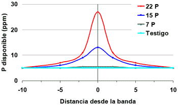 Dinámica y Manejo de Fósforo en Siembra Directa - Image 7