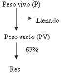 Conceptos de crecimiento de vacunos aplicados a la producción de carne - Image 2