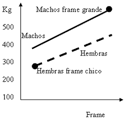 Conceptos de crecimiento de vacunos aplicados a la producción de carne - Image 3