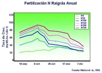 Ahora que terminó el verano, vayamos pensando en el próximo - Image 4