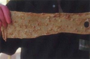 Efectos del parasitismo gastrointestinal sobre la nutrición en vacunos - Image 4