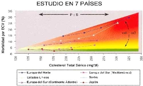 ¿Es el huevo responsable de los niveles elevados de Colesterol en sangre? - Image 1