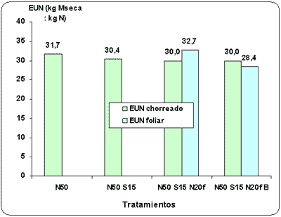 Efecto de la fertilización con nitrógeno, azufre y boro sobre la producción de materia seca y el rendimiento de grano en raigrás anual (Lolium multiflorum Lam.) - Image 9