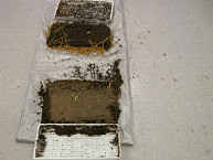 Entender el Proceso de la Erosión y de la Infiltración de Agua en el Suelo - Image 7