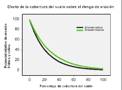 Entender el Proceso de la Erosión y de la Infiltración de Agua en el Suelo - Image 4