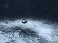 Entender el Proceso de la Erosión y de la Infiltración de Agua en el Suelo - Image 1