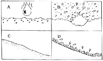 Entender el Proceso de la Erosión y de la Infiltración de Agua en el Suelo - Image 3