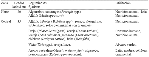Beneficios de la Fijación Simbiótica de Nitrógeno en Chile - Image 2