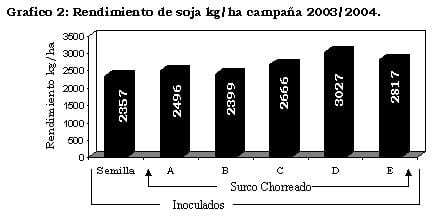 Inoculación en Soja: Nuevo Sistema que Permite Mejorar la Captura de Nitrógeno - Image 2