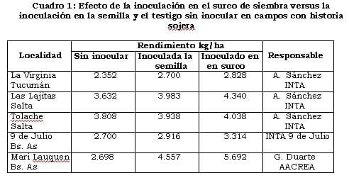 Inoculación en Soja: Nuevo Sistema que Permite Mejorar la Captura de Nitrógeno - Image 5