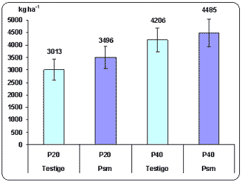 Uso de microorganismos favorables como alternativa para mejorar la nutrición fosforada de trigo. - Image 1