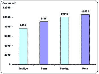 Uso de microorganismos favorables como alternativa para mejorar la nutrición fosforada de trigo. - Image 2