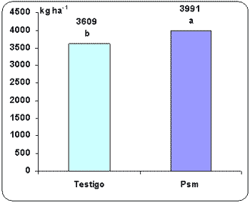 Uso de microorganismos favorables como alternativa para mejorar la nutrición fosforada de trigo. - Image 4