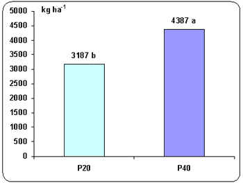 Uso de microorganismos favorables como alternativa para mejorar la nutrición fosforada de trigo. - Image 12