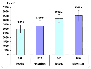 Uso de microorganismos favorables como alternativa para mejorar la nutrición fosforada de trigo. - Image 8