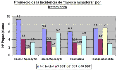 Ensayo de la eficacia del producto sucratos activados para potenciar el efecto de la ciromazina en el control de liryomiza huidobrensis l. “Mosca Minadora” en cultivo de apio - Image 1