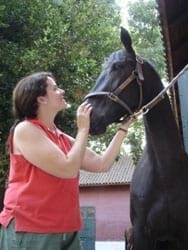 Masajes para caballos: Una necesidad equina - Image 14