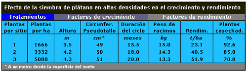 Plátano en Altas Densidades: Una Nueva Opción - Image 2