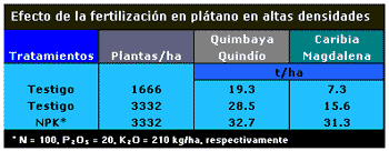 Plátano en Altas Densidades: Una Nueva Opción - Image 3