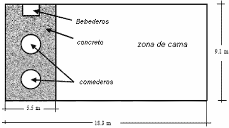 Cama Profunda en la producción porcina. Una alternativa a considerar - Image 4