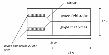 Cama Profunda en la producción porcina. Una alternativa a considerar - Image 9