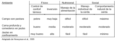 Cama Profunda en la producción porcina. Una alternativa a considerar - Image 15