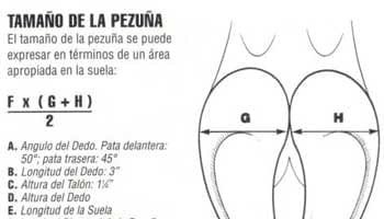 Cuando su negocio cojea - Image 3