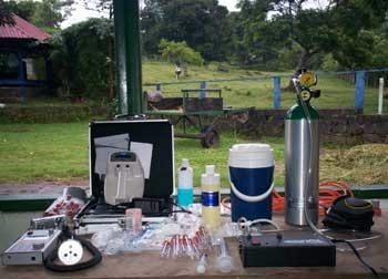 Ozonoterapia en equinos - Image 1