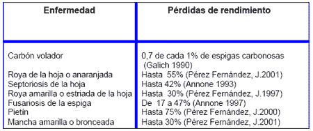 Manejo de las enfermedades en Trigo - Image 1