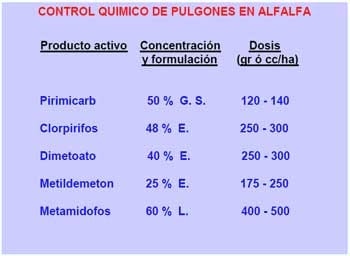 Desarrollo de estrategias de manejo integrado de los pulgones en alfalfa. - Image 4