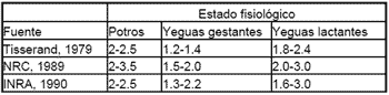 La nutricion y alimentacion del caballo - Image 9
