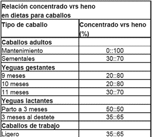 La nutricion y alimentacion del caballo - Image 12