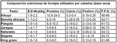 La nutricion y alimentacion del caballo - Image 14