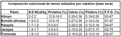La nutricion y alimentacion del caballo - Image 15