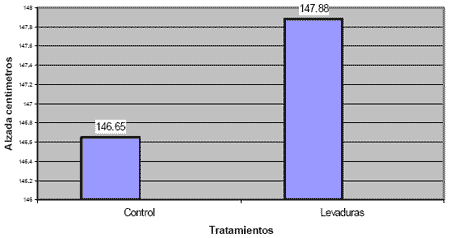 La nutricion y alimentacion del caballo - Image 16