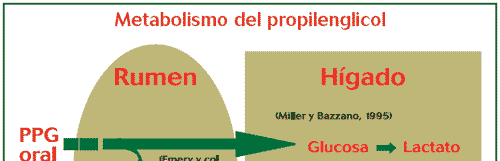 El propilenglicol mejora los resultados de la transferencia de embriones - Image 2