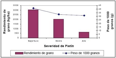 Pietín de los Cereales - Image 5