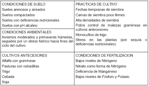 Pietín de los Cereales - Image 6