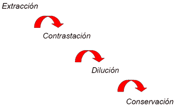 Inseminación Artificial en Porcinos - Image 8