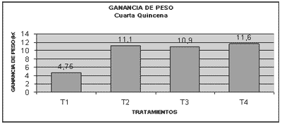 Mejoramiento de dietas liquidas a partir del lactosuero inoculado con el micelio Geotrihum sp. para ceba de cerdos. - Image 5