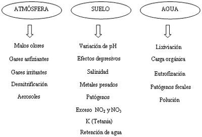Efecto de los residuales avícolas en el ambiente. - Image 1